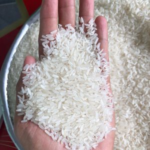 Jasmine Rice