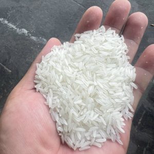 Thai Jasmine Rice Vietnam