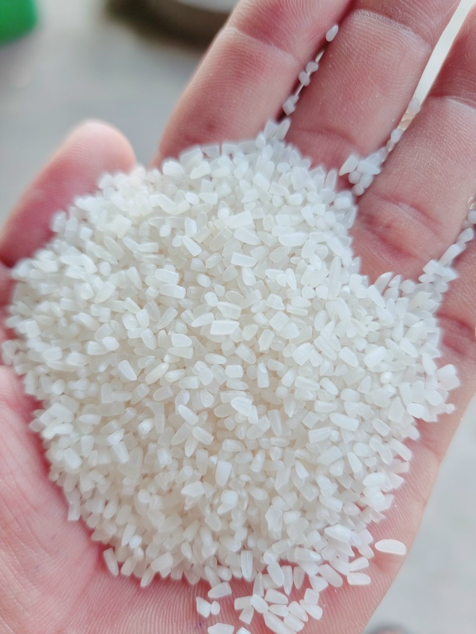 100 Broken Rice Rice More