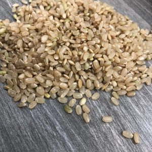 Brown Japonica Rice