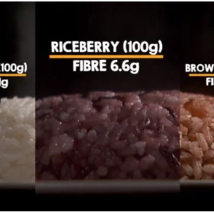 Fibre Comparison Among Rice Types