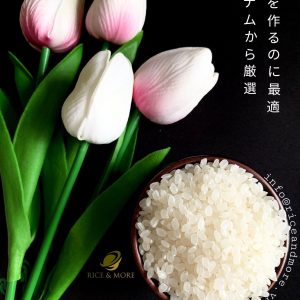 Ideal Rice For Sushi