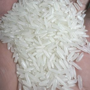 Kdm Rice.