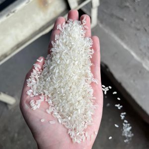 Medium Grain Rice