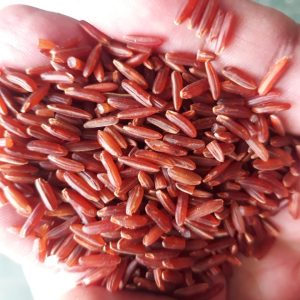 Red Rice