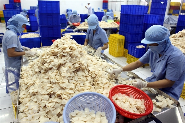 Shrimp Chips Producer